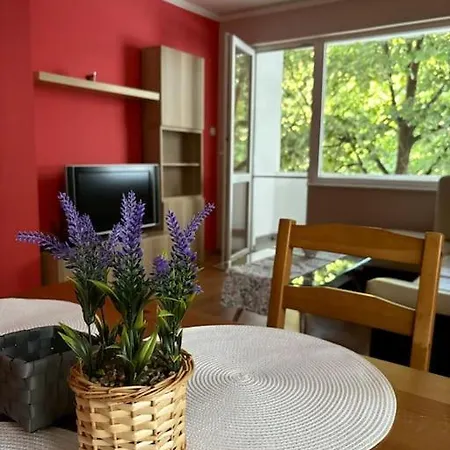 Apartment Vlado And Tedi *